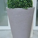 ᗰiki ᕼouտᗴ 2